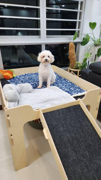 Elevated dog bed